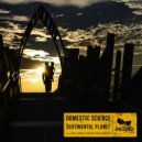 Domestic Science - Sentimental Planet (La Rose Remix)