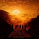 VitAl' - Following The Sun