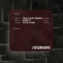 Thee-O, Mr. Buddha, Jorick Croes - Shake It