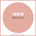 Wayob - Guepardo (Original Mix)