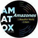 Amazones - Dam (Original Mix)