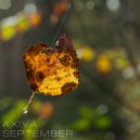 Axiva - September