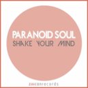 Paranoid Soul - Shake Your Mind (Radio Mix)