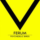 Ferum - Psychedelic Birds (Original Mix)