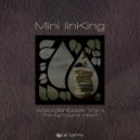 Mini linKing - Hard (Original Mix)