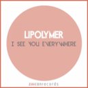 Li-Polymer - Science Abuse