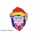 Andy Wild - Sensitive Music on Sensationmusic
