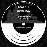 Davide T - Destroy