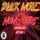 Black Wolf - Now Future (Original Mix)