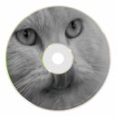 Mig Camacho - Today Is Everyday (Dub mix)
