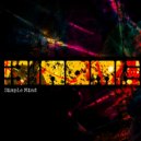 Binome - Quasar