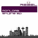 Monolab - Manhole
