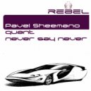 Pavel Sheemano - Never Say Never (Original Mix)