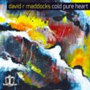 David R Maddocks - Cygnets (Original Mix)