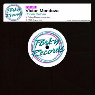 Victor Mendoza - Flies