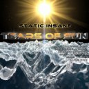 Static Insane - Beautifull Past (Original Mix)