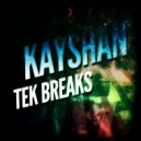 Kayshan - Virus (Original mix)