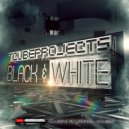 TCUBEPROJECTS - Spide
