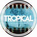 Alonzo, Anasia - Bring It Rare (feat. Anasia) (Original Mix)