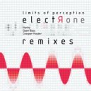 Limits of Perception, DJ Casspar - Houzer - Acidized