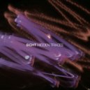 8ight - Distant Light
