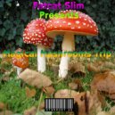 Fatcat Slim - Magical Mushroom Trip (Original)