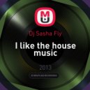 Dj Sasha Fly - I like the house music