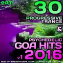 Pulsar - Leo Grooves (Original Mix)