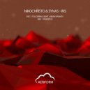 NikoChristo amp Synas - Iris (B&V Remix)