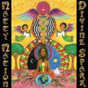 Natty Nation - Meditation (Original Mix)