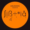 Meleshkin - Aaaya (Original mix)