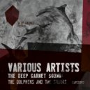 Space Scavengers - Birds Of Canada (Original mix)