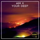 Aim X - The Window