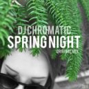 Dj Chromatic - Spring Night