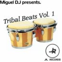 Miguel DJ - Afromania (Original Mix)
