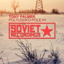 Tony Palmer - Something's Missing