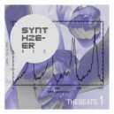 PABLO RASTER - An Le Bolet Feat. Natty Sly (Original mix)