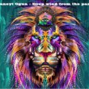 Cuneyt Ogun - Deep wind from the past