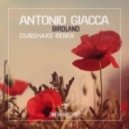 Antonio Giacca, Dubshake - Birdland (Dubshake Remix)