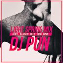 Dj Pun - Light Spring Mix ()
