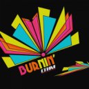 Diego Valle & Mr. Bremson - Burnin\' (Cantos Remix)
