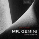 Mr. Gemini - Path to Light