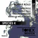 Species K - Marble Rolls (Original mix)