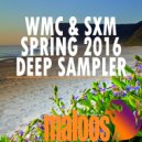Viktor Drzewiecki - Massive (Dave Mayer Remix)