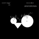 Angel Fernandes - Black Birds