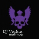 DJ Vuduu - Malimba (Main Ancestral Natives Instrumental)