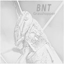 BNT - Grasshopper ()