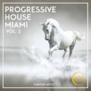 Dj Maksim Metelyov - Explosion
