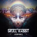 Skull Rabbit - Insight