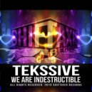 Tekssive - We Are Indestructible (Original Mix)